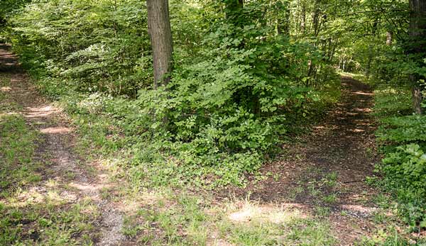 Outdoor Coaching mit Sarah Kohlmaier
